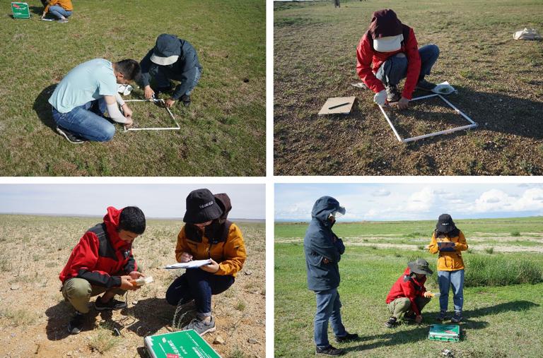 Field work for land degradation along China-Mongolia railway (Mongolian section)