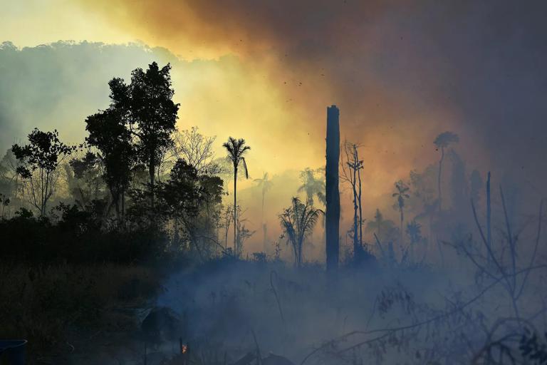 Amazon rainforest fires got even worse last year