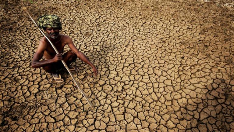 India heatwave kills 800 as capital's roads melt