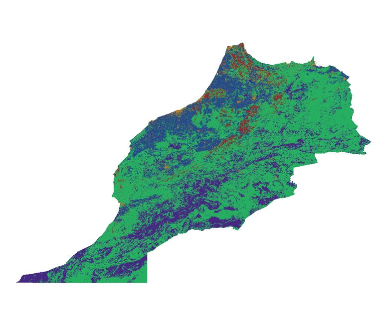 ESRI Morocco land cover data for 2020