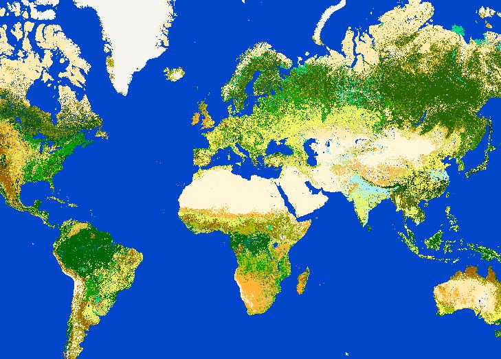 Online Map of ESA Global Land Cover Data (ESA GlobCover)