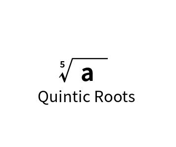 Online Batch Calculator for Quintic Roots