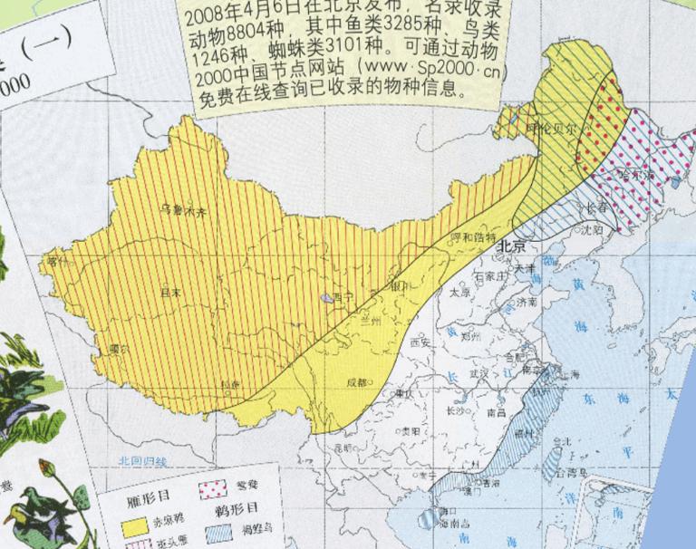 Map of China specialty birds (en echelon mesh)