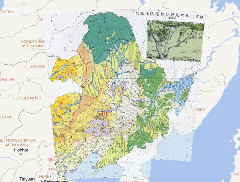 Vegetation Types and Vegetation Soil Area Online Maps in Northeast China