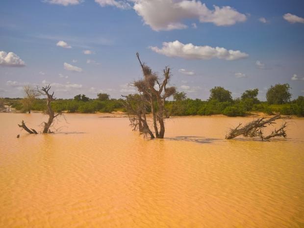 Flooding Significantly Impacts Food Security, New Study Finds