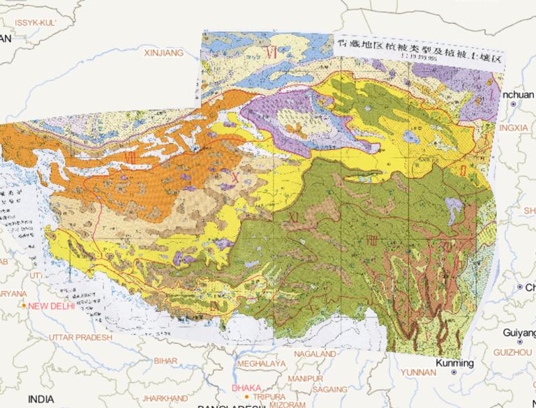 Vegetation types and soil map of the Qinghai Tibet region in China