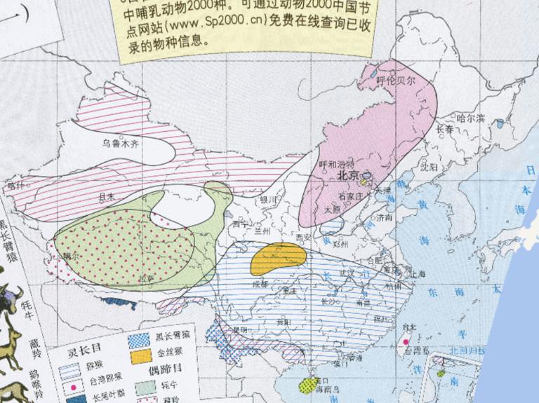 Chinese Specialty beast  (primates) online map