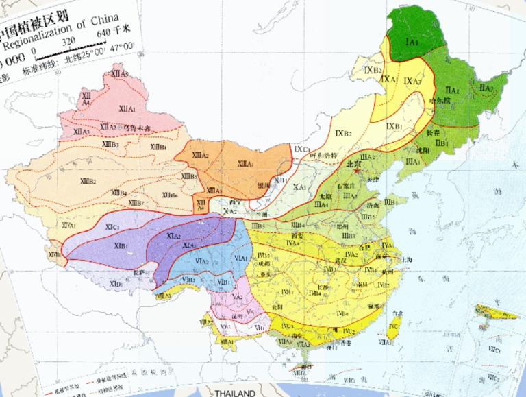 Online map of Chinese vegetation zonation