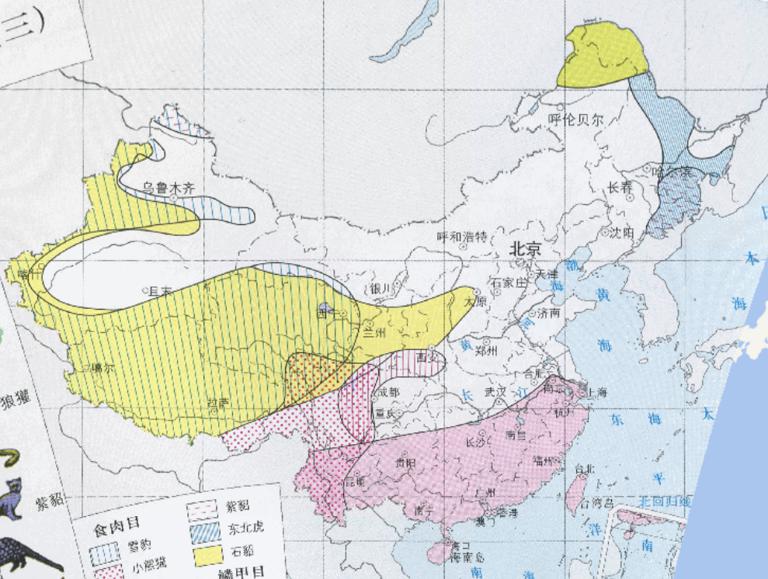 Online map of Chinese special animal (carnivore)