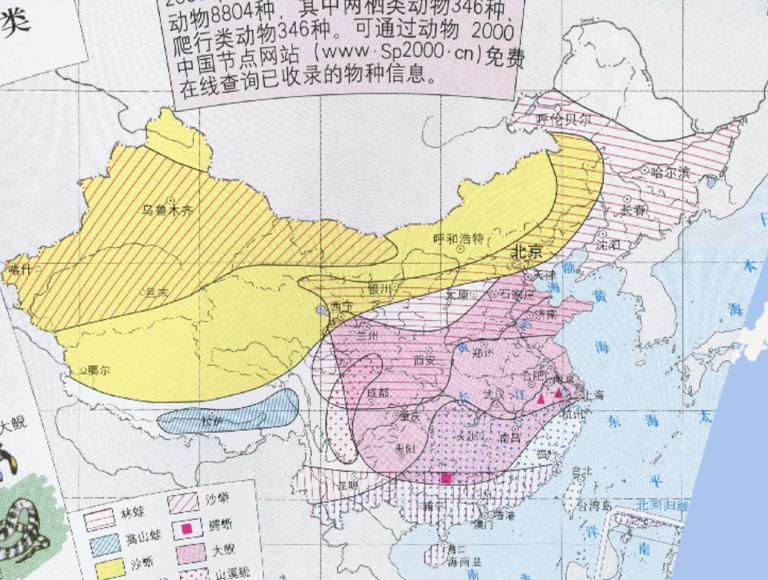 Online map of reptile and amphibians in China