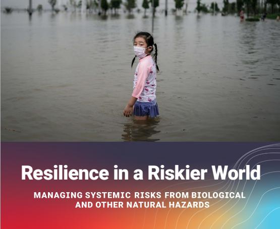 Resilience in a riskier world : managing systemicrisks from biological and other natural hazards