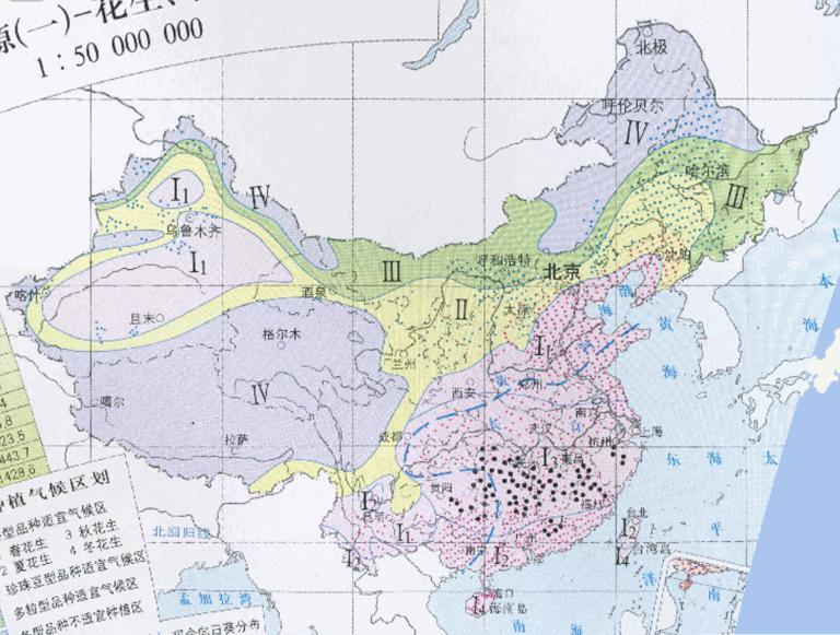 Online map of Chinese oilseed crop resources (peanut, sunflower, camellia)