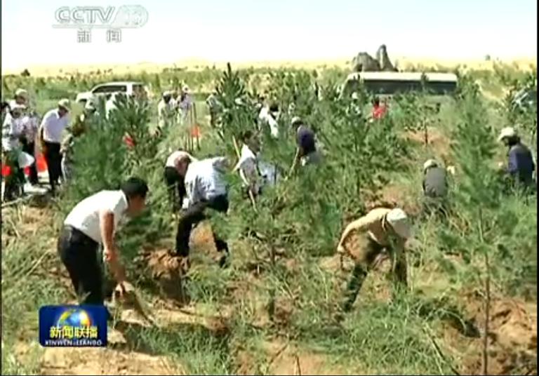 Global desertification governance action started in Kubuqi