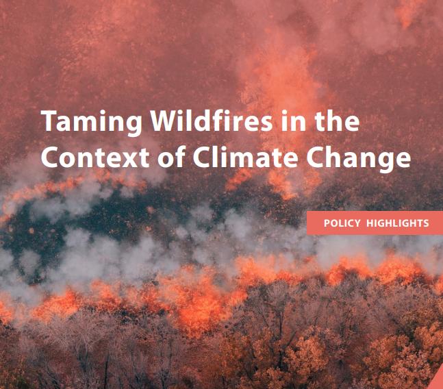 Taming wildfires in the context of climate change