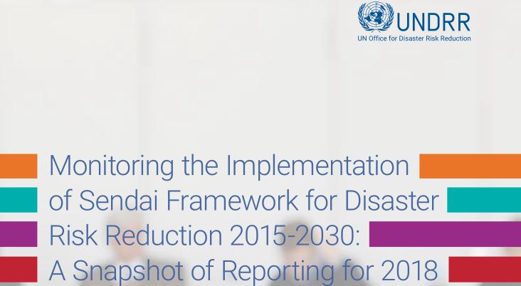 Monitoring the Implementation of Sendai Framework for Disaster Risk Reduction 2015-2030: A Snapshot of Reporting for 2018