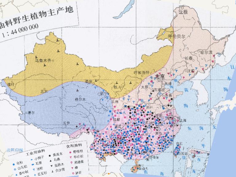 Distribution of Major Producing Areas of Main Wild Oil Plants in China