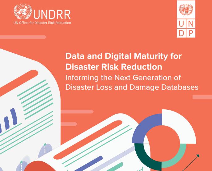 Data and digital maturity for disaster risk reduction: Informing the next generation of disaster loss and damage databases